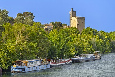 Avignon Tower, Rhone River, Avignon, Provence-Alpes-Côte d'Azur, Grand Avignon, Rhone Valley, France, UNESCO