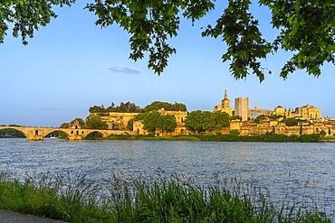 Rhone River, St. Bénézet Bridge, Avignon, Provence-Alpes-Côte d'Azur, Grand Avignon, Rhone Valley, France, UNESCO