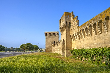 Walls, Avignon, Provence-Alpes-Côte d'Azur, Grand Avignon, Rhone Valley, France, UNESCO