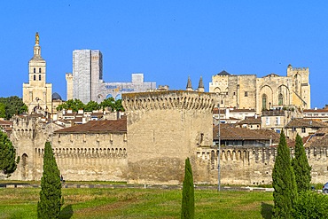 Avignon, Provence-Alpes-Côte d'Azur, Grand Avignon, Rhone Valley, France, UNESCO