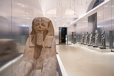 Sphinx, Gallery of Kings, Museo Egizio, Egyptian Museum, Turin, Piedmont, Italy