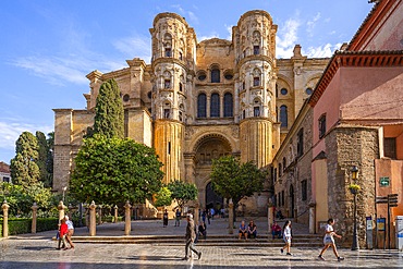 Cathedral of MAlaga, Malaga, Andalusia, Spain