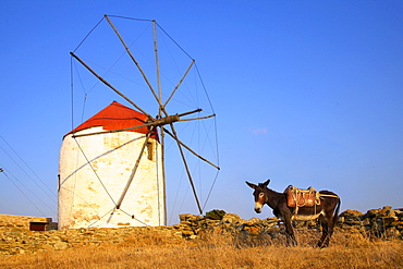 The village of Kampos, Tinos Island, Cyclades, Greek Islands, Greece, Europe