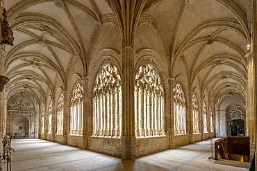 Cloister of the Cathedral of Segovia, Segovia Cathedral, Segovia, Castile and León, Spain