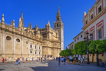 Seville Cathedral, Cathedral of Santa Maria de la Sede of Seville, former ancient Almohad mosque, Seville, Andalusia, Spain