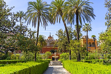 Alcazar Gardens, Alcazar of Seville, Seville, Andalusia, Spain