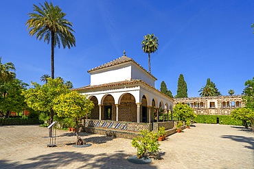 Alcazar Gardens, Alcazar of Seville, Seville, Andalusia, Spain