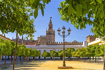 Alcazar Gardens, Alcazar of Seville, Seville, Andalusia, Spain