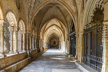 metropolitan and primatial cathedral basilica of Santa Tecla, cathedral,, Tarragona, Catalonia, Spain