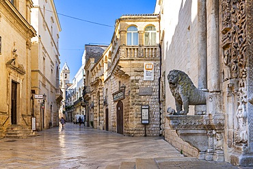 Cathedral of Santa Maria Assunta, Altamura, Bari, Apulia, Italy