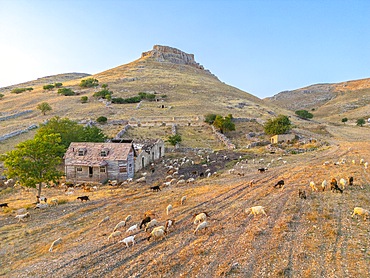 Garagnone Fortress, Garagnone Castle, Spinazzola, Barletta-Andria-Trani, Murgia, Apulia, Italy