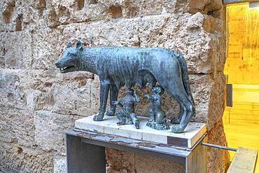 Capitoline she-wolf, Entrance to the Praetorium of Tarragona, Tarragona, Catalonia, Spain