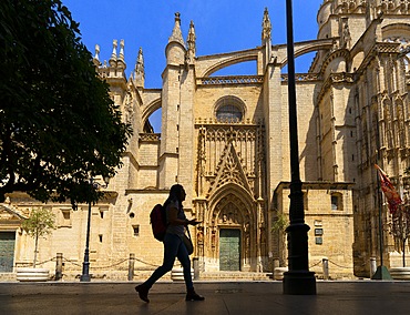 Seville Cathedral, Cathedral of Santa Maria de la Sede of Seville, former ancient Almohad mosque, Seville, Andalusia, Spain