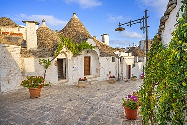 Rione Monti, Alberobello, Bari, Apulia, Italy