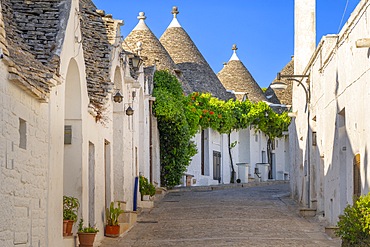 Rione Monti, Alberobello, Bari, Apulia, Italy