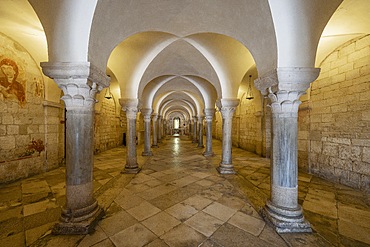 Cathedral, Trani, Barletta-Andria-Trani, Apulia, Italy