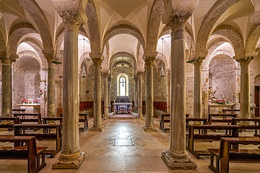 Crypt, Cathedral, Trani, Barletta-Andria-Trani, Apulia, Italy