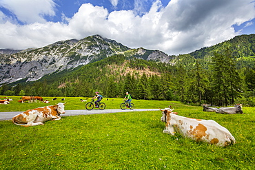 Karwendel Natural Park, Tyrol, Austria, Europe