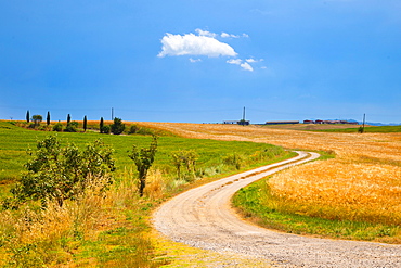 Surroundings, Pienza, Tuscany, Italy, Europe