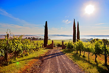 Surroundings, Pienza, Val d'Orcia, UNESCO World Heritage Site, Tuscany, Italy, Europe