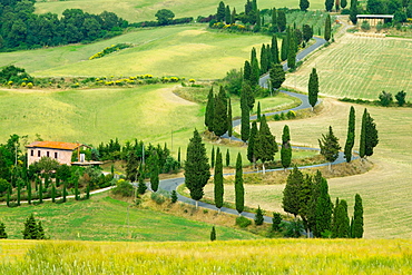 Monticchiello, Val d'Orcia, UNESCO World Heritage Site, Tuscany, Italy, Europe