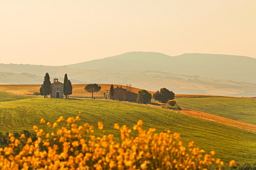 Vitaleta Church, San Quirico d'Orcia, Val d'Orcia, UNESCO World Heritage Site, Tuscany, Italy, Europe