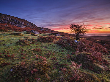 Twilight on the slopes below Saddle Tor with mist in the Teign Valley, Dartmoor National Park, Bovey Tracey, Devon, England, United Kingdom, Europe