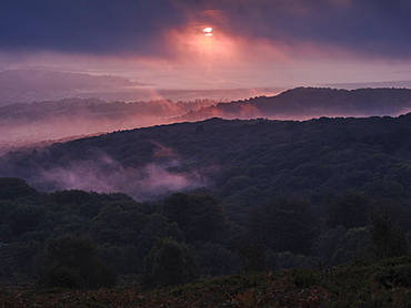 Breaking through cloud, the sun adds a pink hue to heavy mist over Yarner Wood, Dartmoor National Park, Bovey Tracey, Devon, England, United Kingdom, Europe