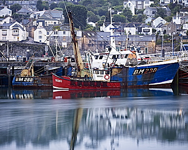 Fishing boats in harbour, Newlyn, Cornwall, England, United Kingdom, Europe