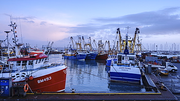 Trawlers moored alongside in the fishing port of Brixham, Devon, England, United Kingdom, Europe