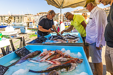 Fish market in the Old Port in Marseille, Bouches du Rhone, Provence, Provence Alpes Cote d'Azur, France, Mediterranean, Europe