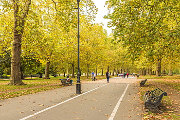 Hyde Park, London, England, United Kingdom, Europe