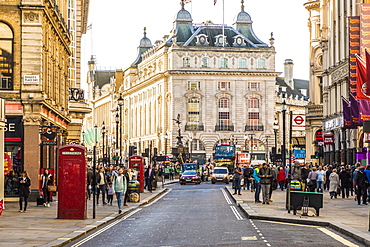 A view looking to Piccadilly Circus, London, England, United Kingdom, Europe