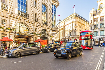 A view of Haymarket, London, England, United Kingdom, Europe