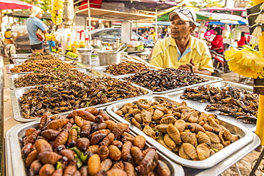 A stall selling various insects in the night market in Kamala in Phuket, Thailand, Southeast Asia, Asia