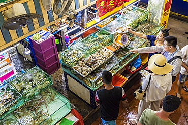 An aerial view of a live fish stall at the indoor Banzaan food market in Patong, Phuket, Thailand, Southeast Asia, Asia