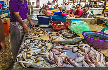 Fish stall in Campbell Street Market within George Town, UNESCO World Heritage Site, Penang, Malaysia, Southeast Asia, Asia