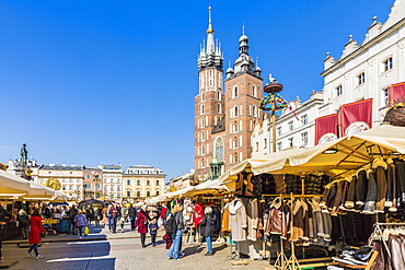 St. Mary's Basilica in the main square in the medieval old town of Krakow, UNESCO World Heritage site, in Krakow, Poland, Europe