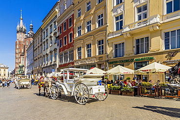 Horse drawn carriage in the main square, Rynek Glowny, in the medieval old town, UNESCO World Heritage Site, Krakow, Poland, Europe