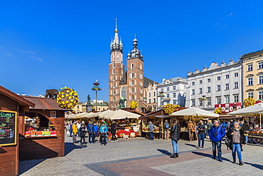 Market scene in the main square, Rynek Glowny, in the medieval old town, UNESCO World Heritage Site, in Krakow, Poland, Europe