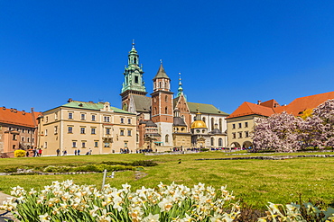 View of Wawel Cathedral at Wawel Royal Castle, UNESCO World Heritage Site, in the medieval old town, in Krakow, Poland, Europe