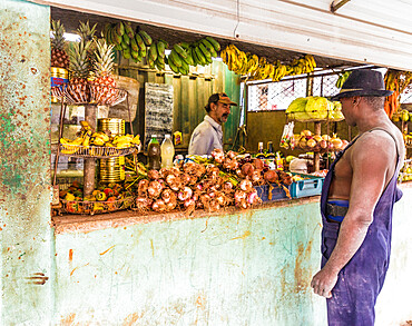 A local market selling fruit, Havana, Cuba, West Indies, Caribbean, Central America