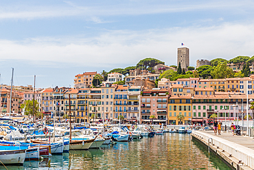 Le Vieux Port harbour in Cannes, Alpes Maritimes, Cote d'Azur, Provence, French Riviera, France, Mediterranean, Europe