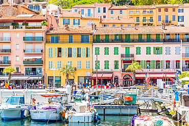 Le Vieux Port harbour in Cannes, Alpes Maritimes, Cote d'Azur, Provence, French Riviera, France, Mediterranean, Europe