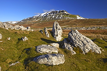 Snow capped Penyghent in the Yorkshire Dales National Park, Ribblesdale, North Yorkshire, England, United Kingdom, Europe