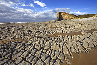 Exposed limestone at low tide at Nash Point on the Glamorgan Heritage Coast, Glamorgan, Wales, United Kingdom, Europe