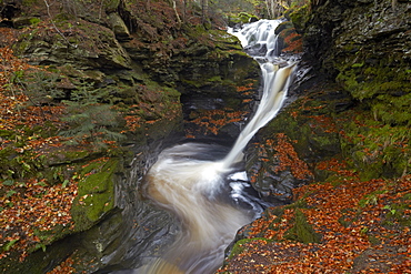 The upper Falls of Acharn near Aberfeldy in late autumn, Perthshire, Scotland, United Kingdom, Europe