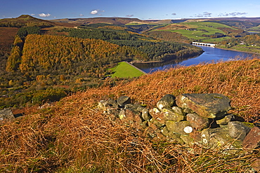 Ladybower Reservoir and Derwent Valley in autumn seen from Bamford Edge, Peak District National Park, Derbyshire, England, United Kingdom, Europe