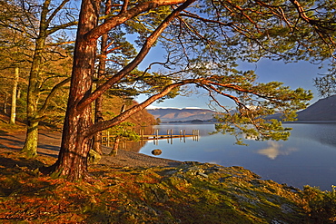 Low Brandelhow landing stage on Derwentwater in the Lake District National Park, UNESCO World Heritage Site, Cumbria, England, United Kingdom, Europe