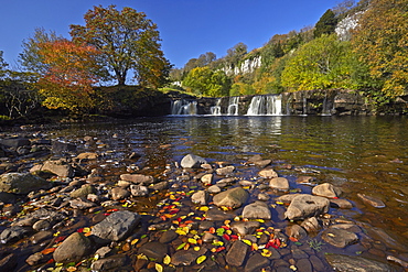 Autumn at Wainwath Falls with Cotterby Scar in the distance, near Keld, Swaledale, Yorkshire Dales, North Yorkshire, England, United Kingdom, Europe